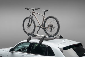  Thule-Fahrradträger Expert 298